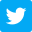 twitter-icon